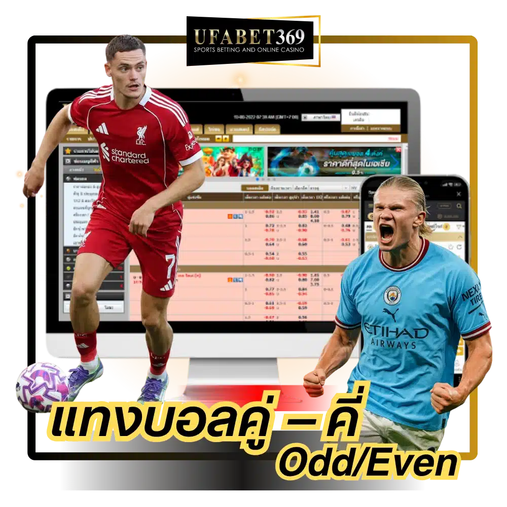 คู่–คี่ (OddEven)